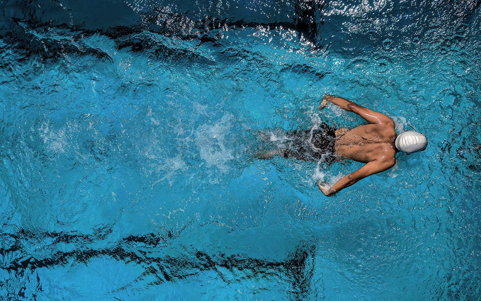 Delphin-schwimmtraining
