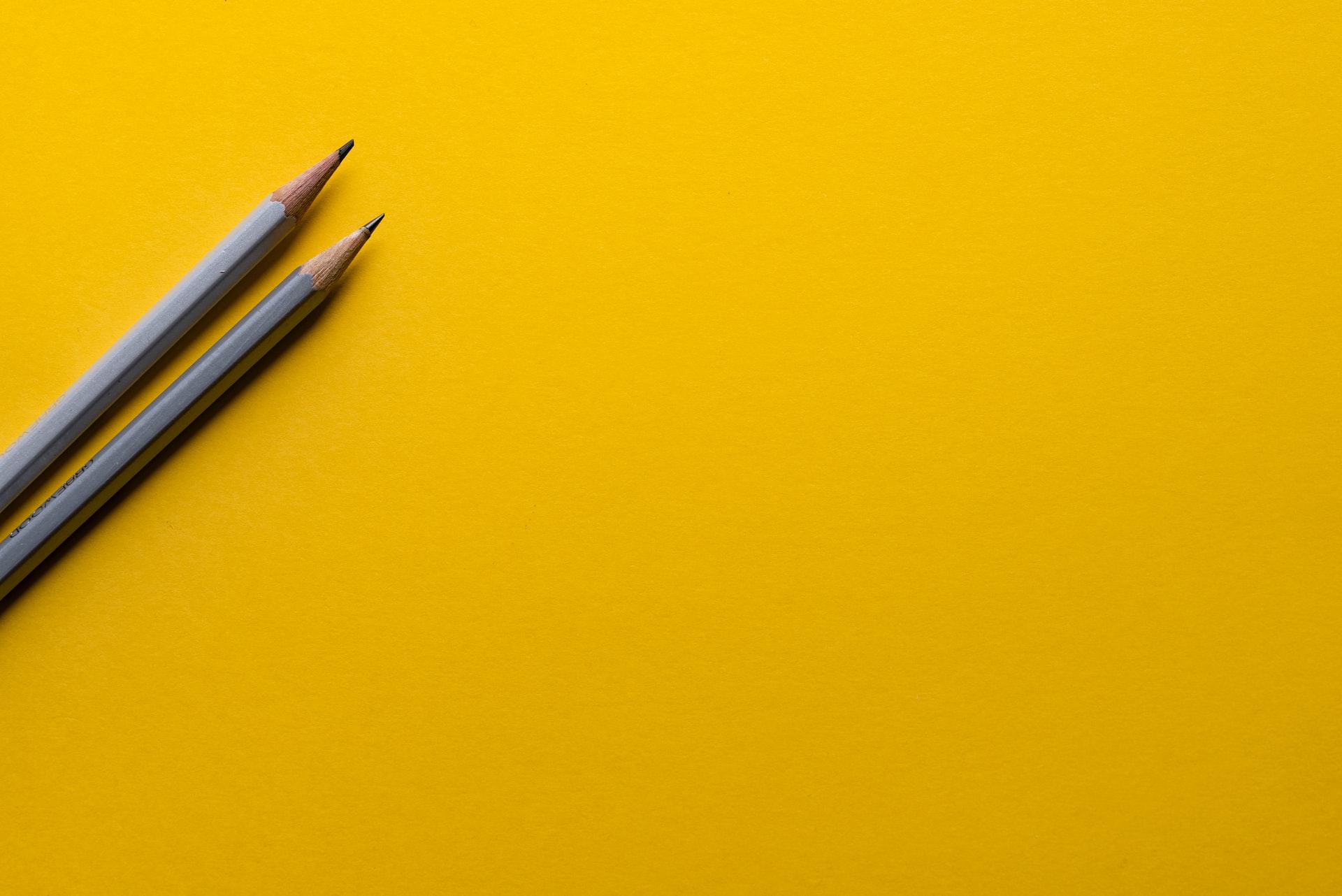 Joanna-kosinska-1 cmofspfso-unsplash-2