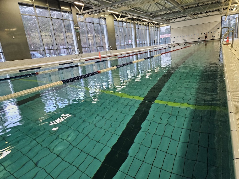 Halle lindow1